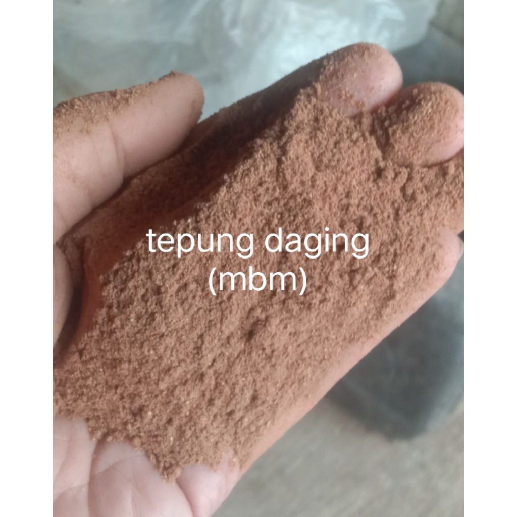 tepung daging, mbm import pakan ternak