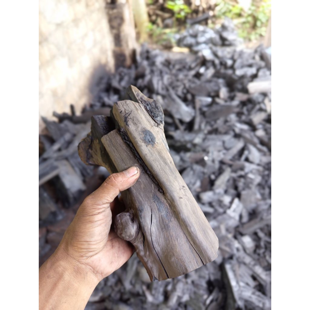 arang kayu keras