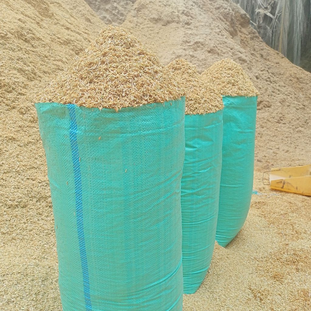 sekam mentah original ukuran karung 50kg