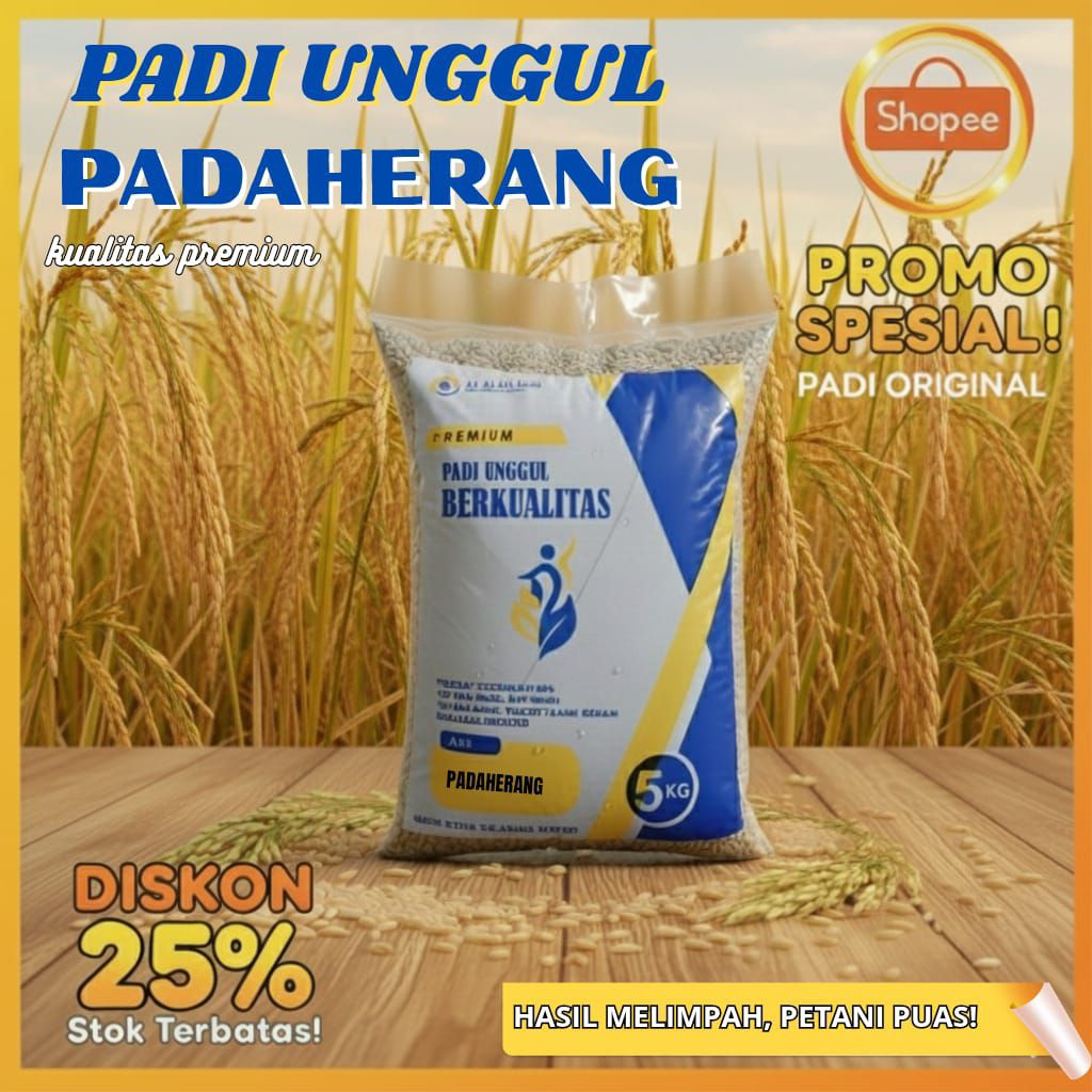 Padi unggul Padaherang 5kg bermutu tinggi