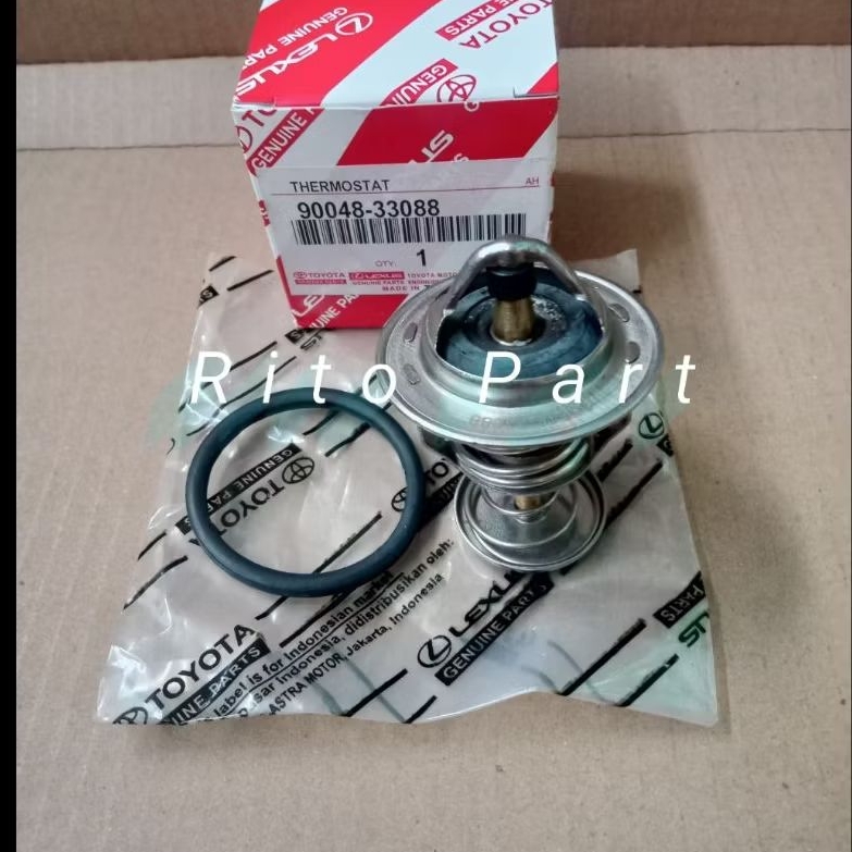 thermostat Avanza