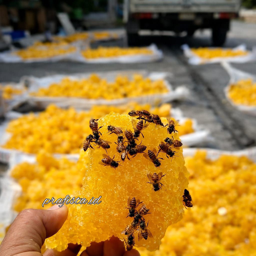 Gula Batu Kuning kristal