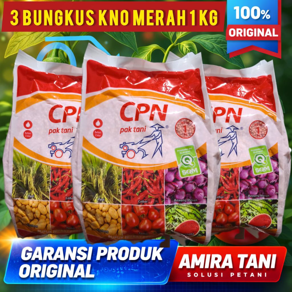 3 BUNGKUS  KNO MERAH 1 KG PAK TANI