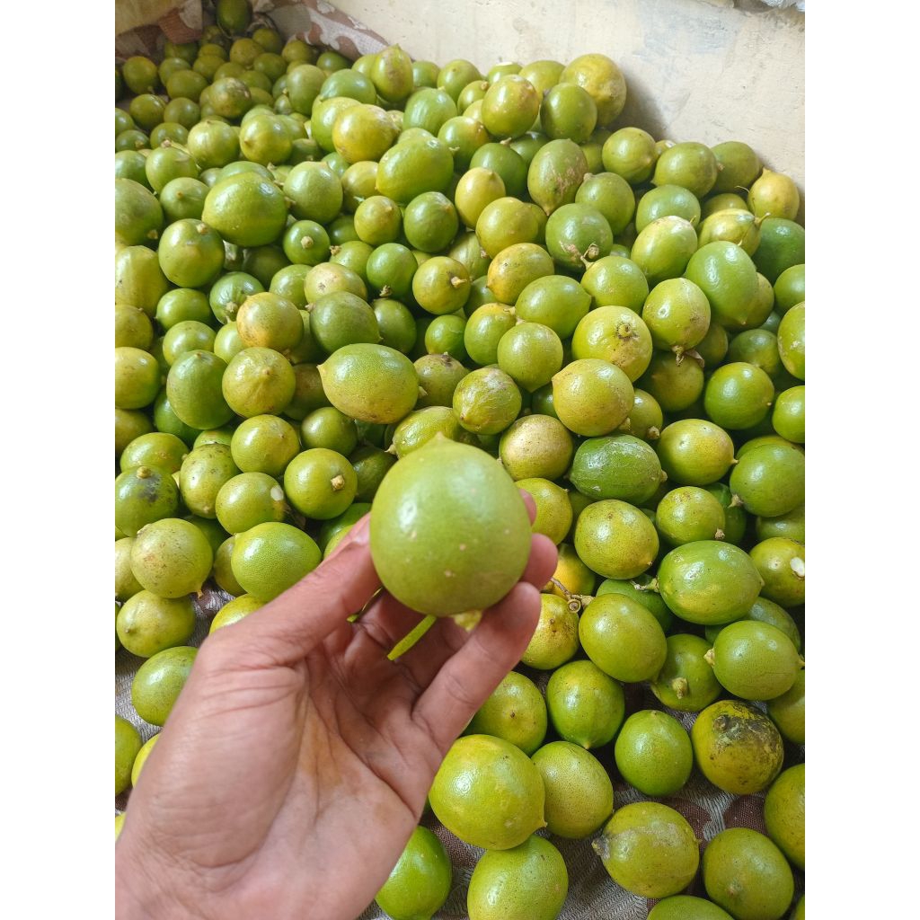 1.kg jeruk lemon lokal segar