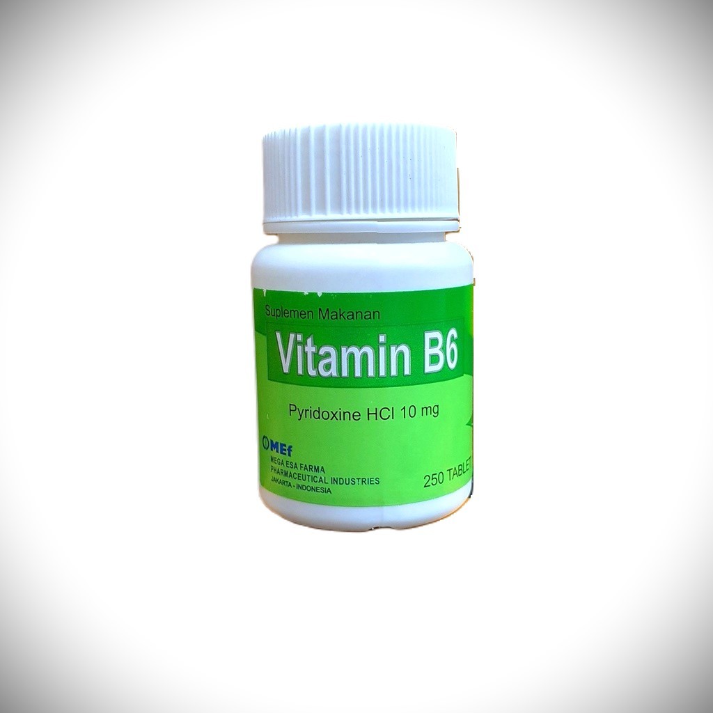 Vitamin B6 10mg 250's Tablet Mef