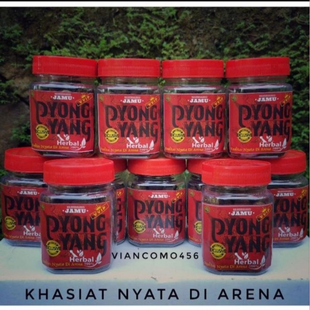 JAMU pyongyang ayam laga doping super kuat agresif nafas panjang