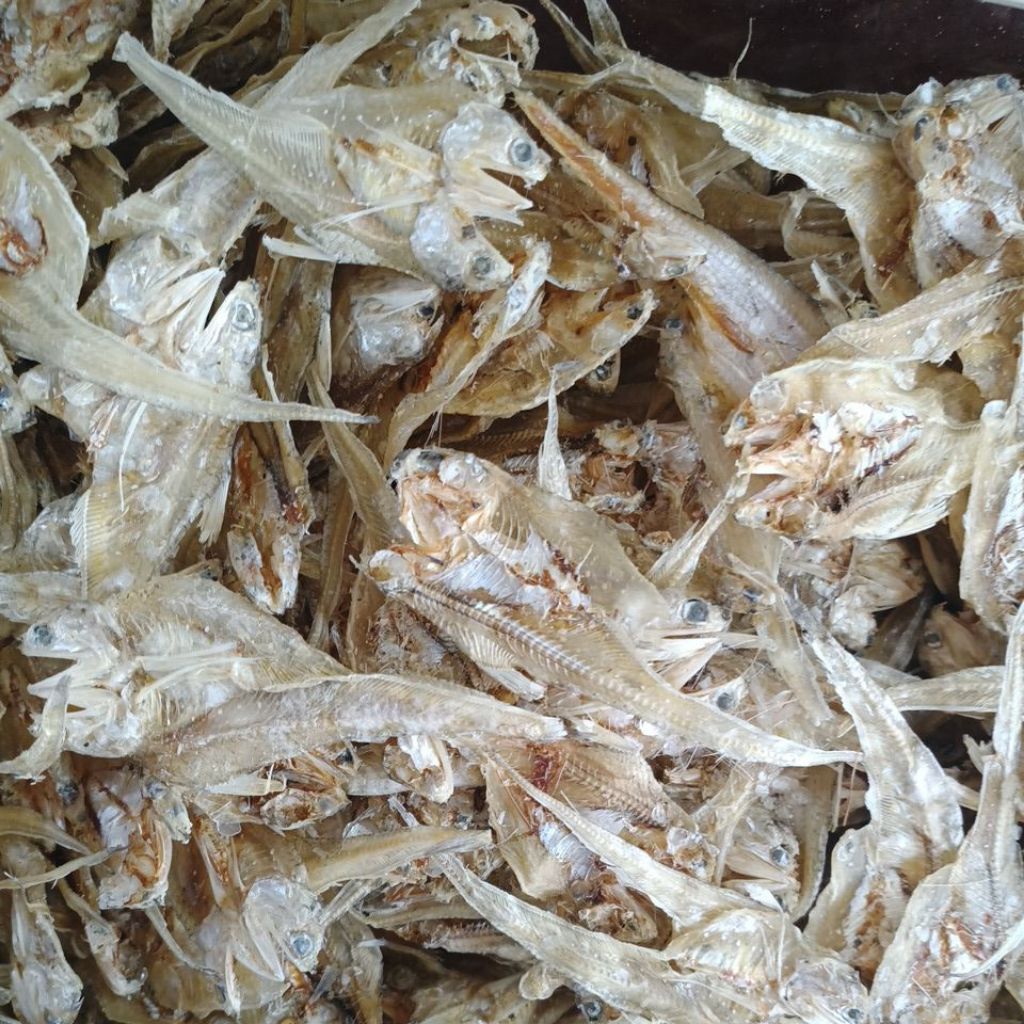 ikan asin bulu ayam tipis 100 Gram