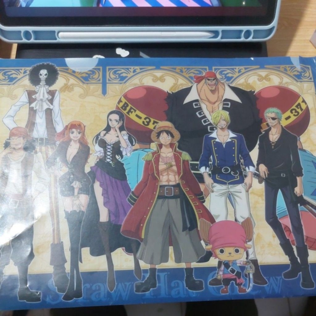 Loose lecek Official Clearfile One Piece 4th Anniversary Mugiwara Store