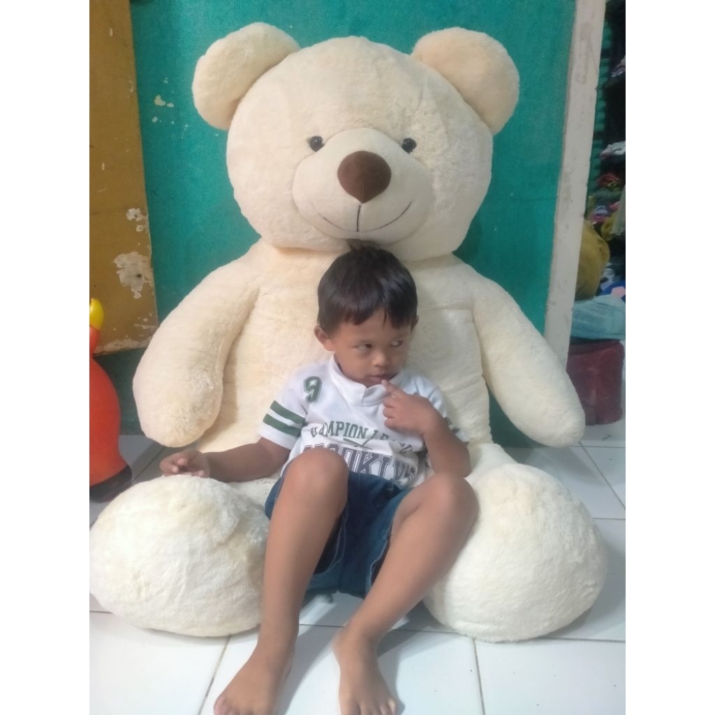 Teddy bear 1 meter