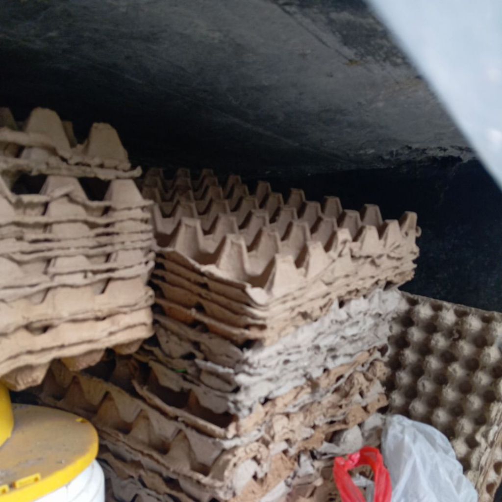 rak telur kertas bekas