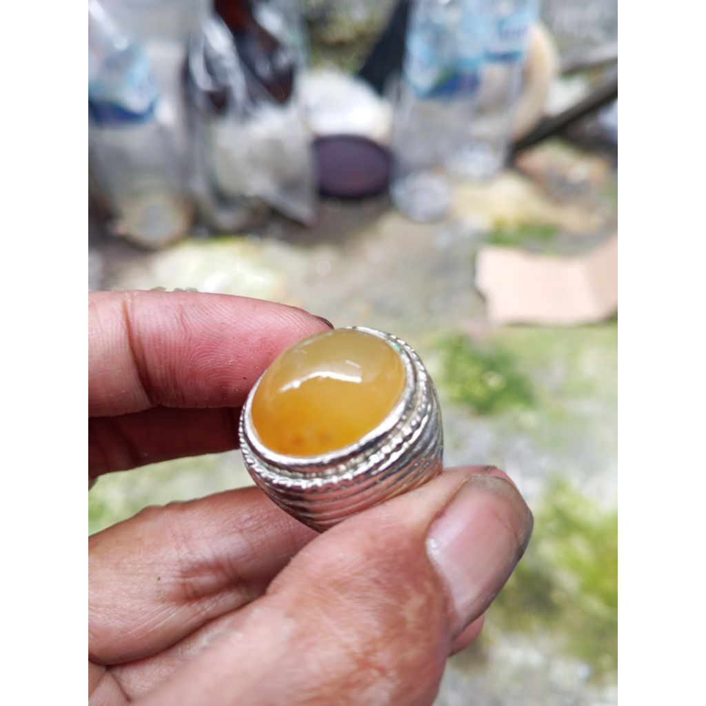 Bacan King Obi bosss