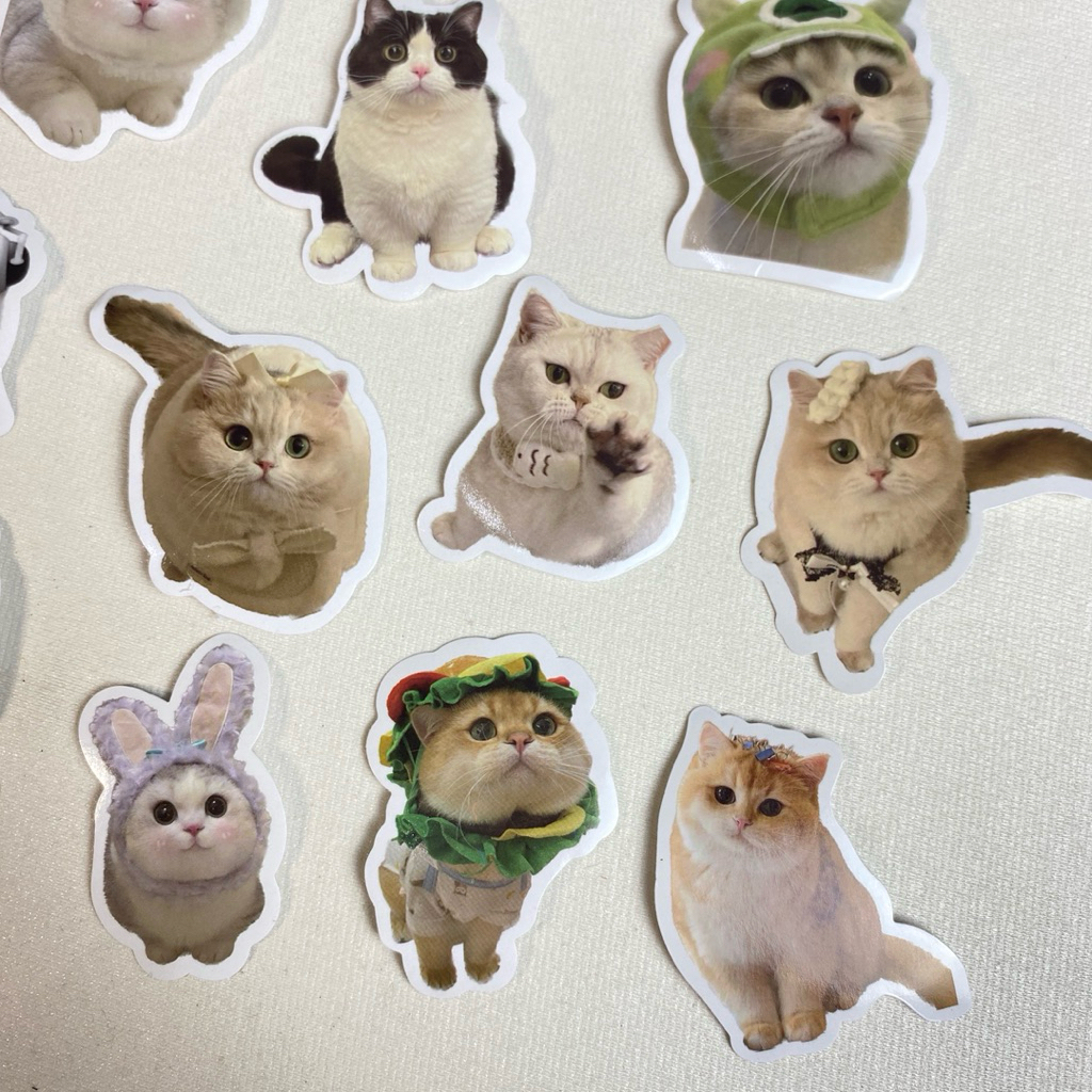 Stiker Kucing Lucu dan Murah Cocok untuk Buku & Laptop
