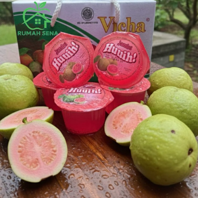 sari jambu isi 24 minuman khas kota Batu Malang vicha huuih geratis pecking kardus kirim seluruh ind