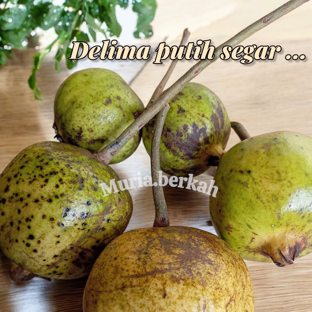 Delima Putih Fresh Buah Pome Manis Segar Biji Lunak