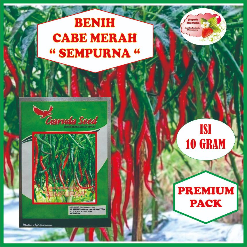 BENIH CABE KERITING MERAH 'SAMPURNA' GARUDA SEED 10 GRAM