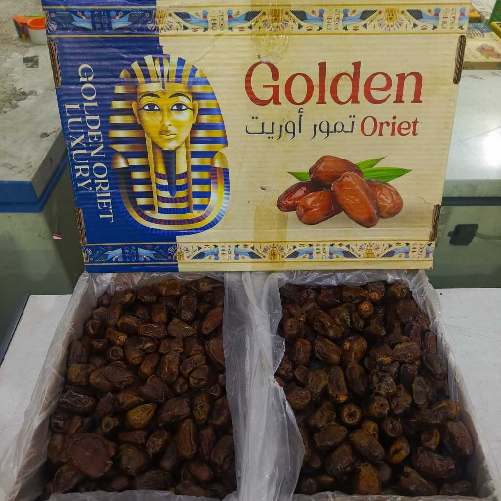 kurma mesir golden oriet kurma 10 kg 10kg kurma manis