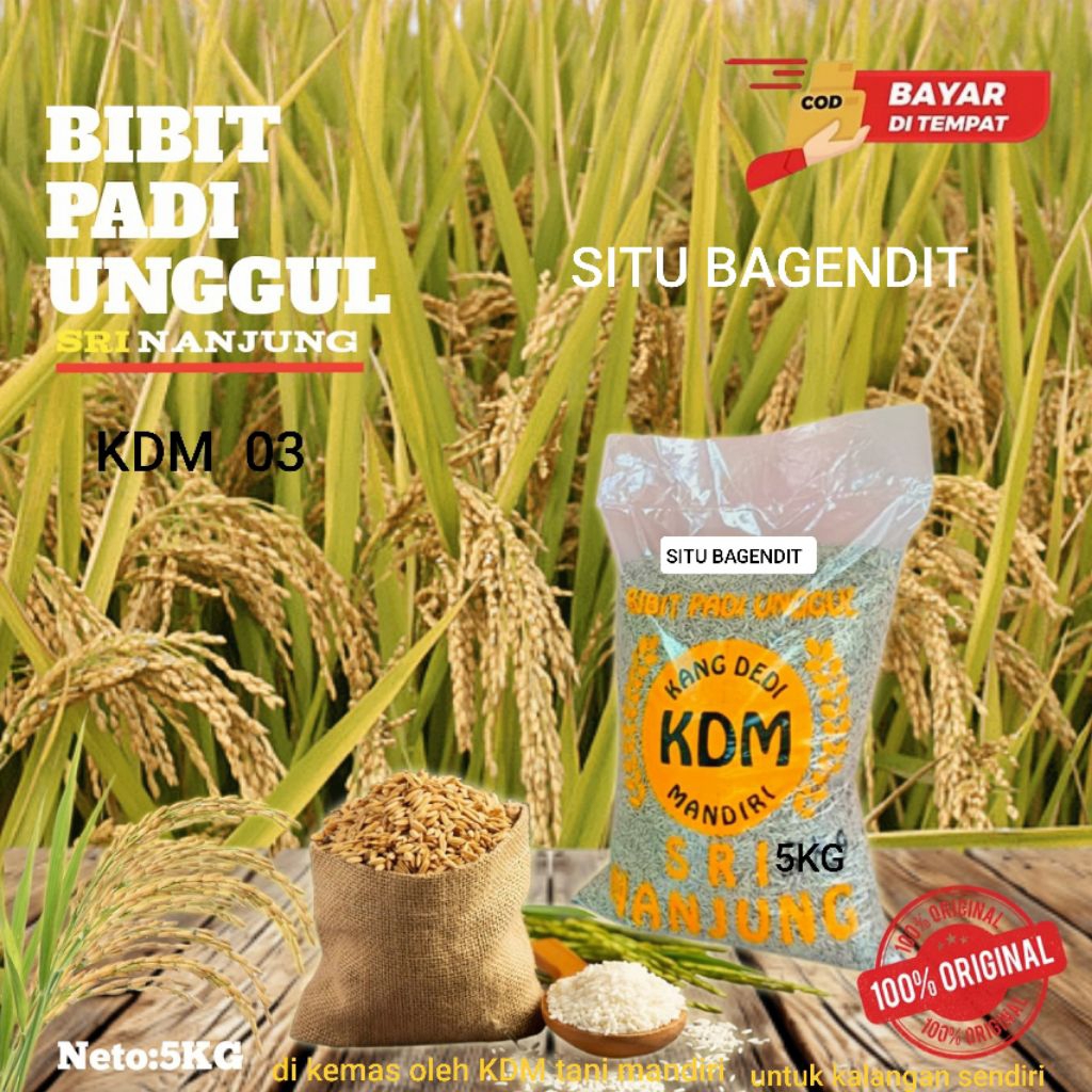 BIBIT PADI BENIH PADI SITU BAGENDIT KEMASAN 5 KG BIBIT PADI UNGGUL