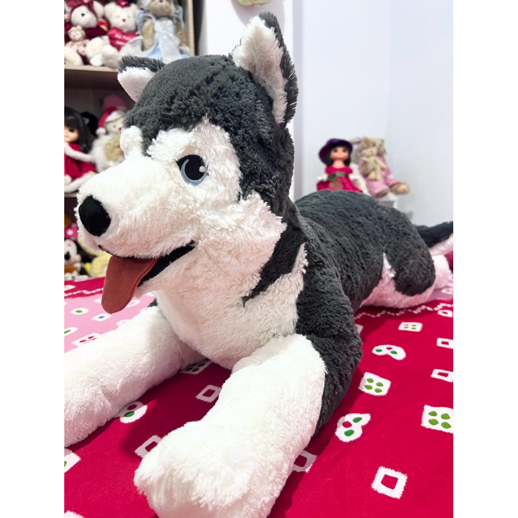 Boneka Anjing Ras Husky Jumbo 69 Cm