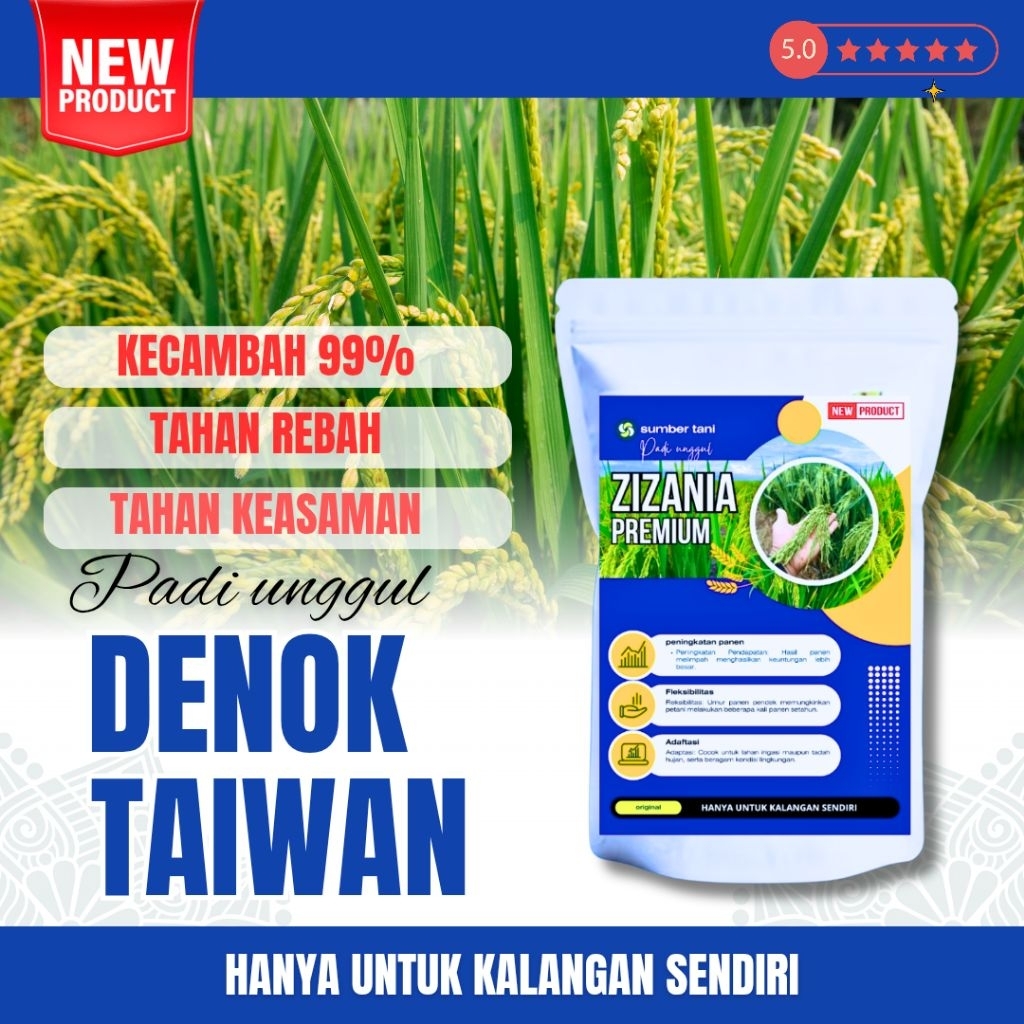 Benih padi unggul denok taiwan ( BENIH PADI TERBARU DENOK TAIWAN)