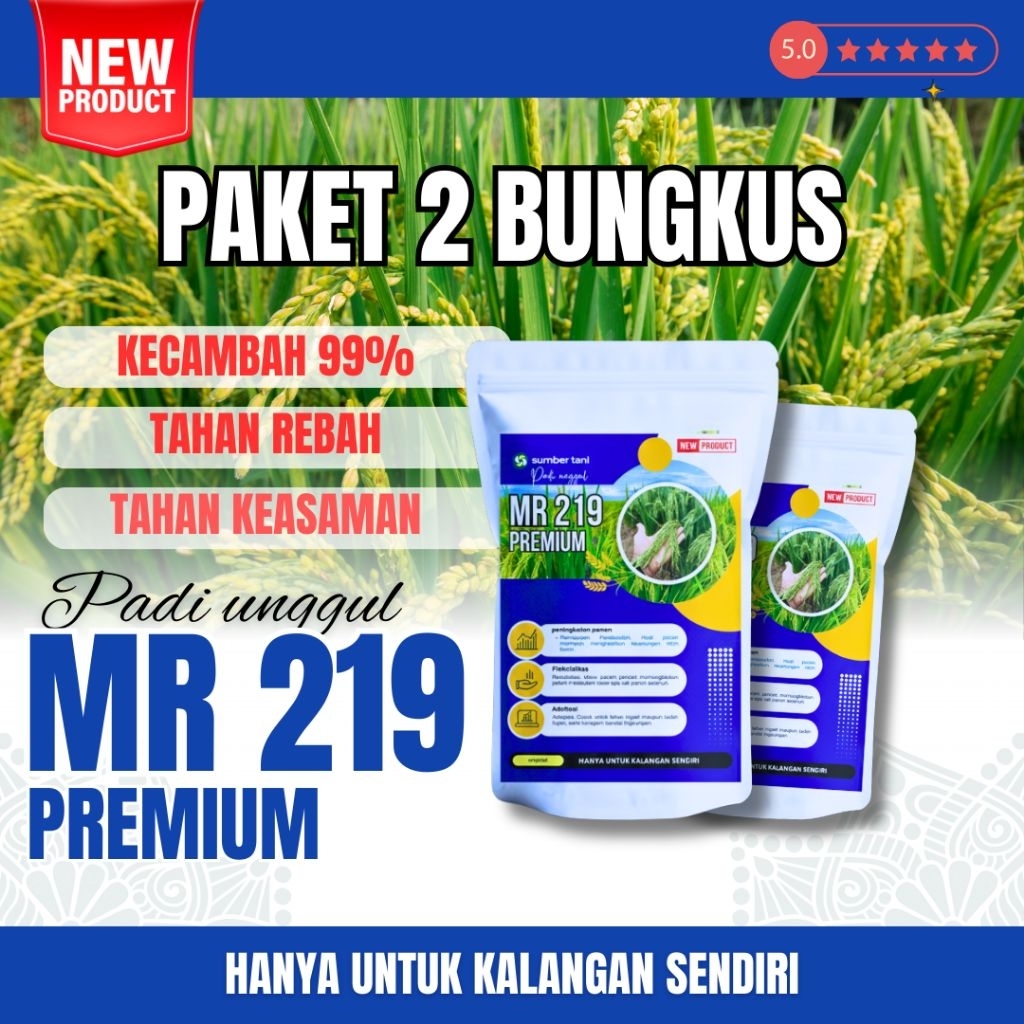 BENIH PADI MR 219 ASLI KEMASAN 2KG ( benih padi mr 219 umur 85-95 hst)