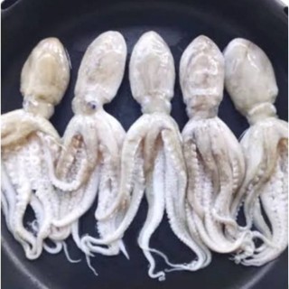 Baby gurita / baby octopus / bahan chuka idako / chuka idako