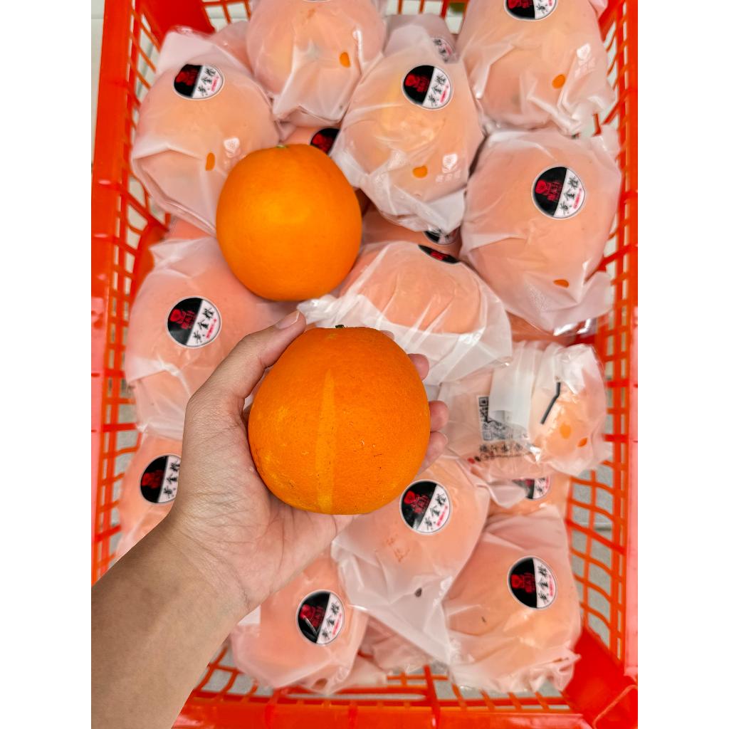 Jeruk Sunkist Navel China (KG)