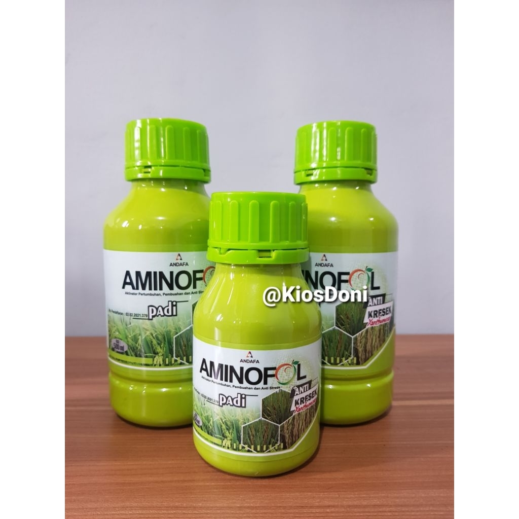 Anti Kresek Xanthomonas Padi Aminofol Anti Kresek padi Ampuh Pupuk daun dan Bakterisida