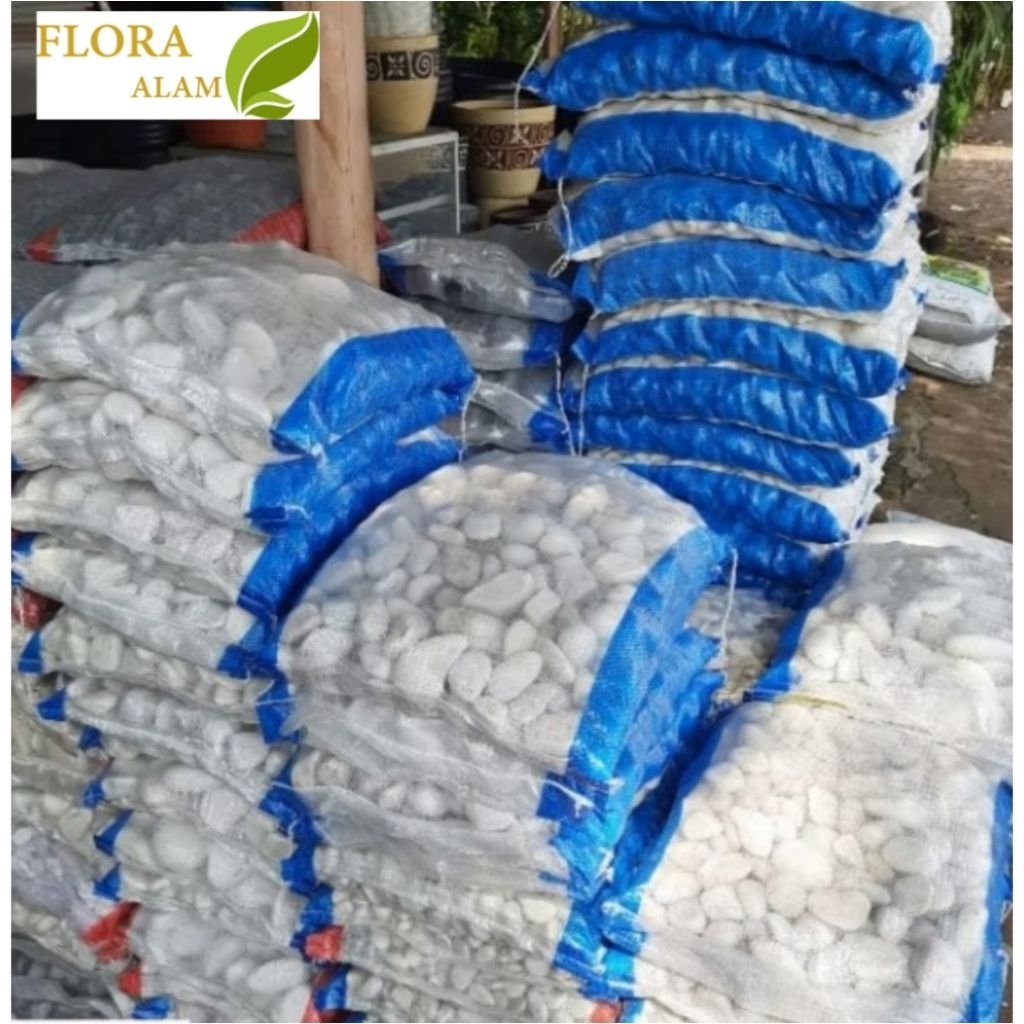 Batu Koral Putih / Batu Hias Putih Untuk Taman