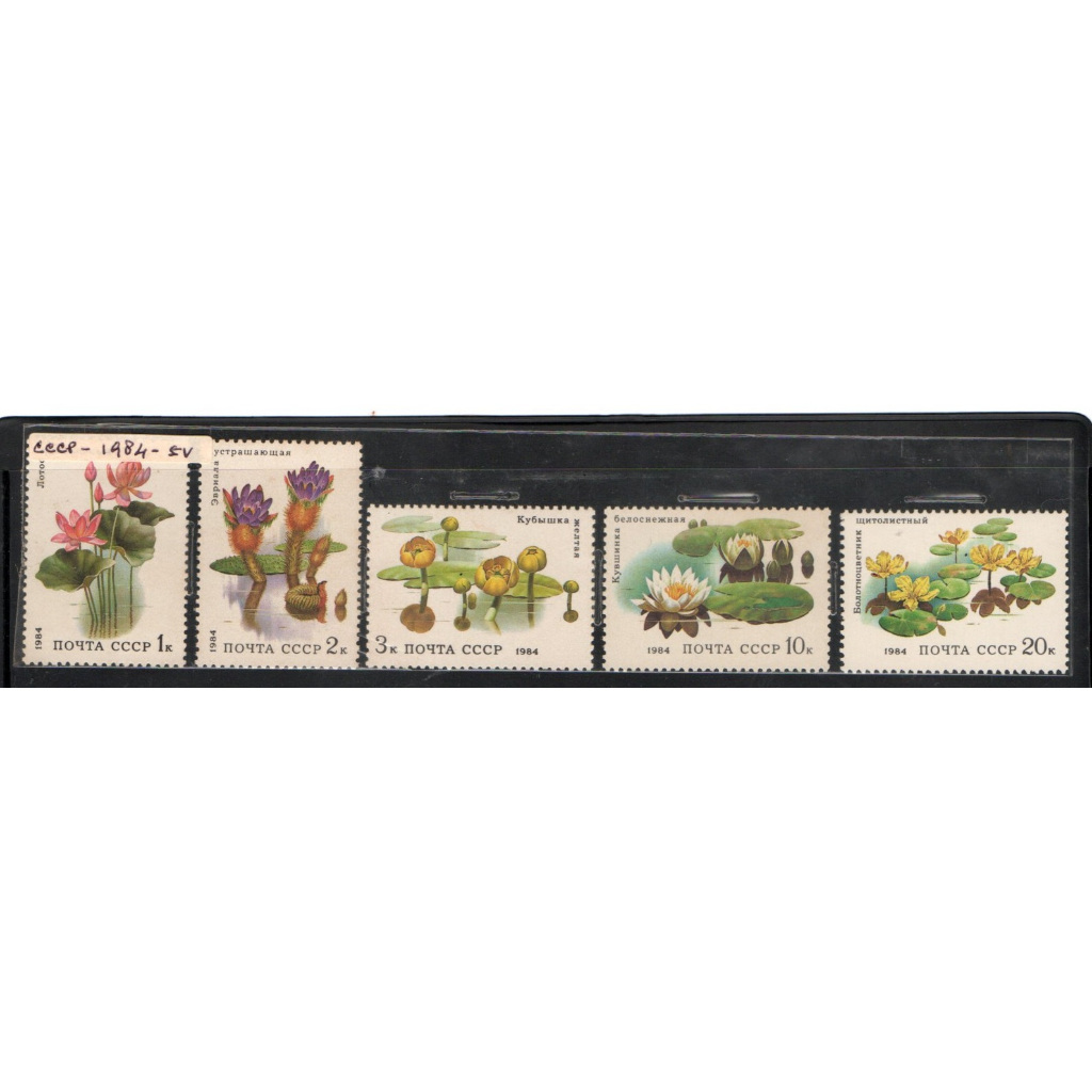 Prangko Tema Bunga mint 192 Rusia