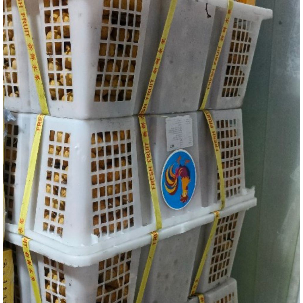 Lengkeng 1 Keranjang (11 kg)