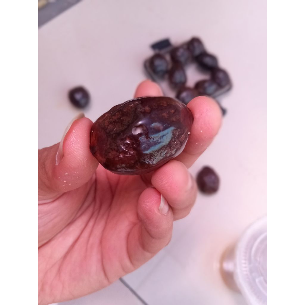 muncang adu jayanti 4g siap adu