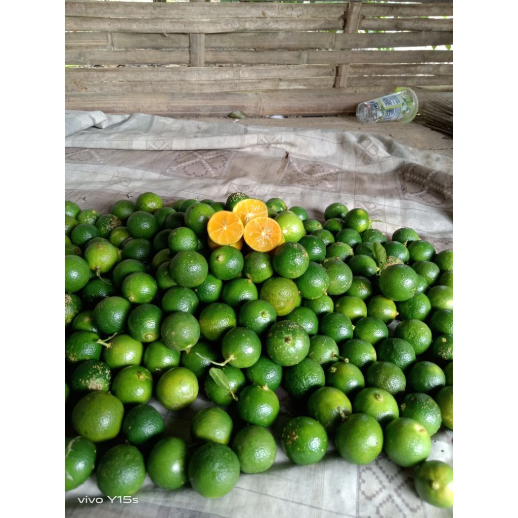 1kg jeruk sonkit/jeruk peras/jeruk kasturi/ukuran besar