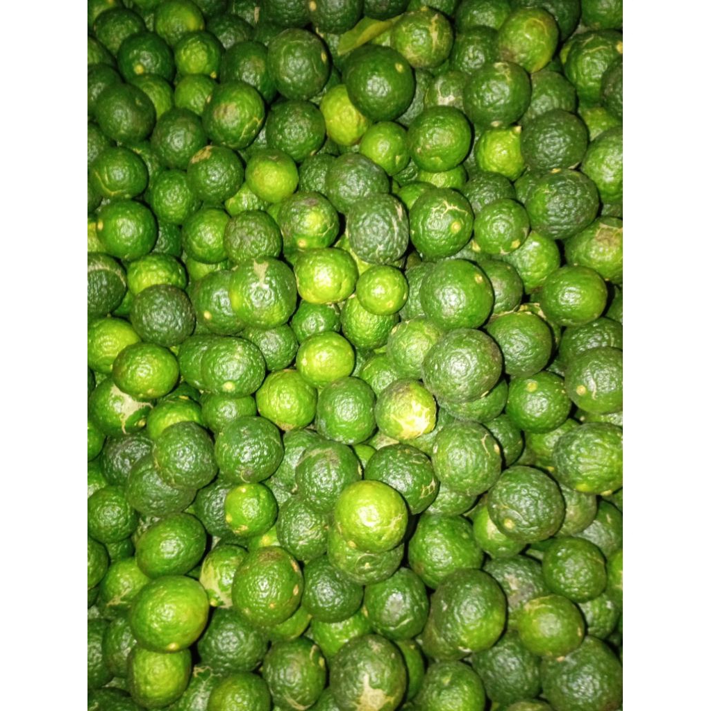 Buah Jeruk Nipis Sambal Kecil kinkit