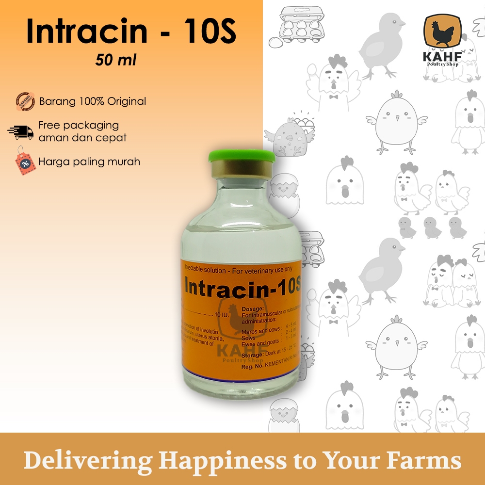 Intracin 10s 50 ml Hormon Oksitosin Pemicu Kontraksi dan Susu Hewan Oxytocin