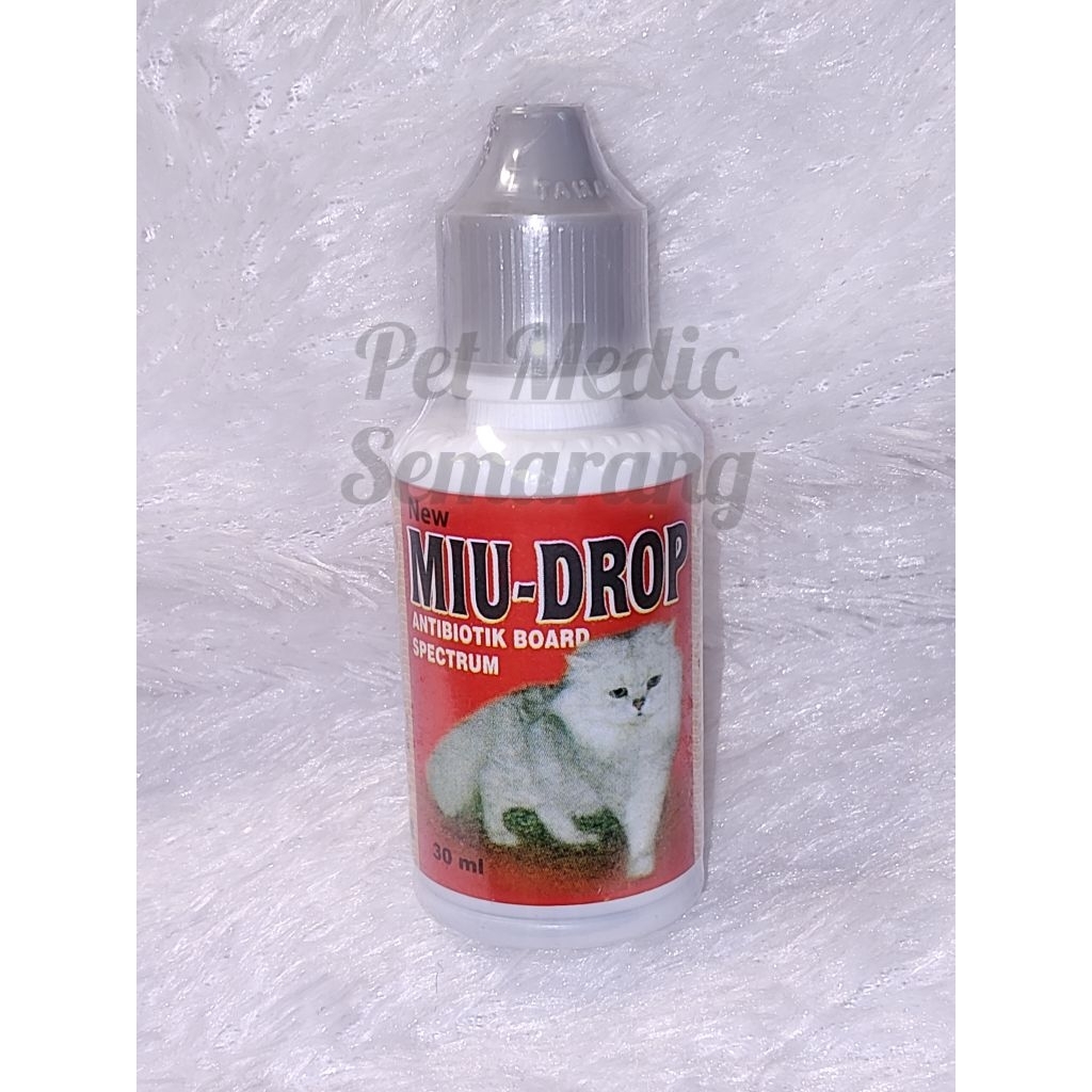 antibiotik kucing MIUDROP