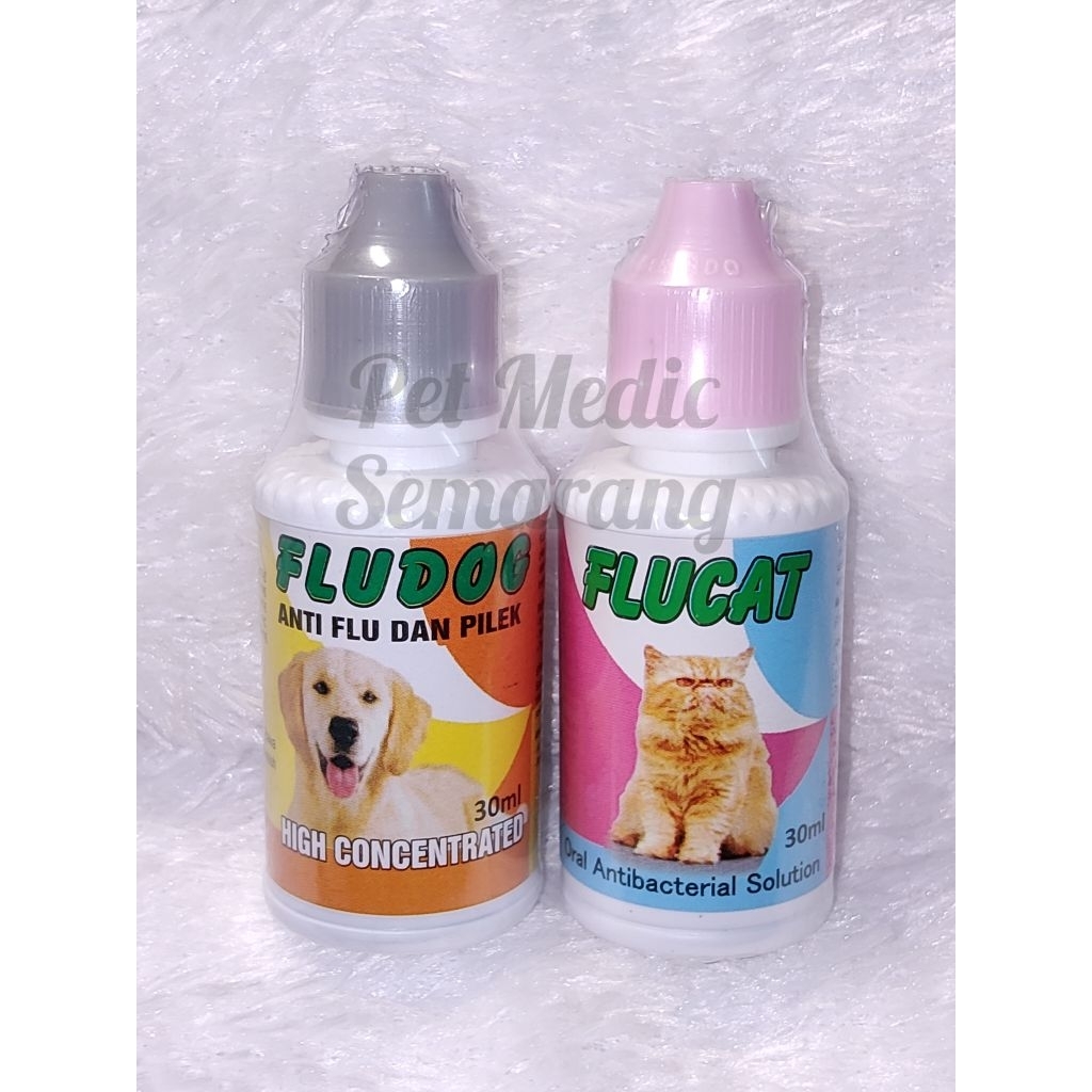 flucat fludog obat flu kucing obat flu anjing