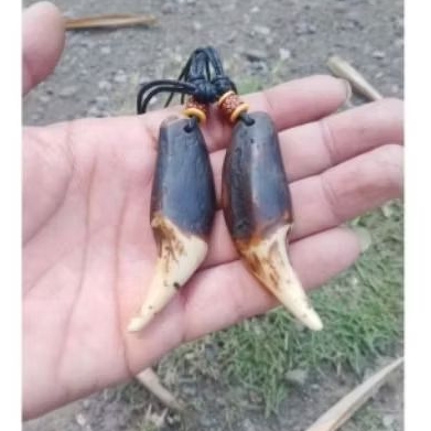 kalung liontin sepasang kuku beruang resin