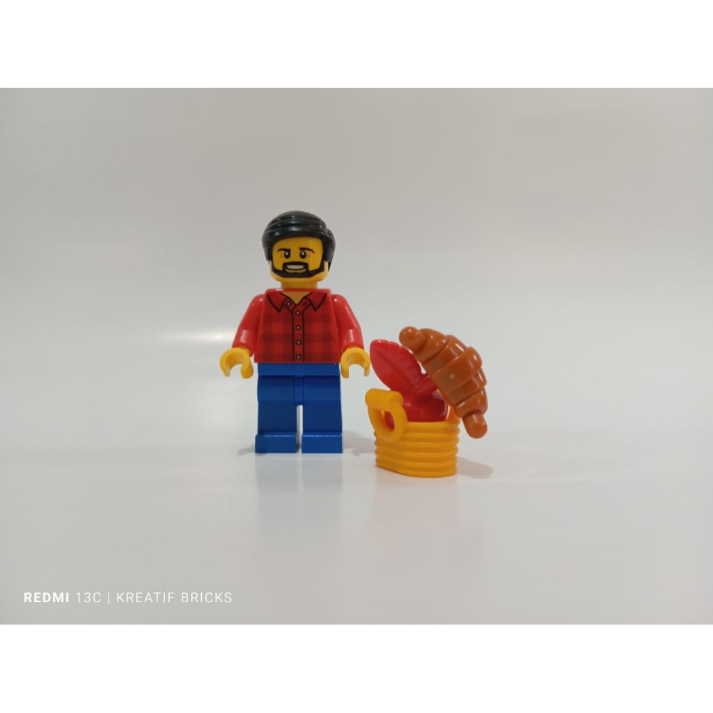 LEGO CITY cty0664 minifigure