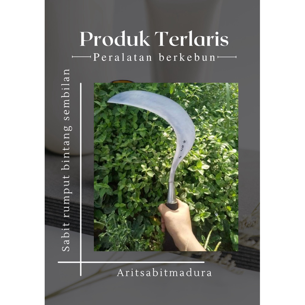 sabit rumput bintang sembilan asli Madura