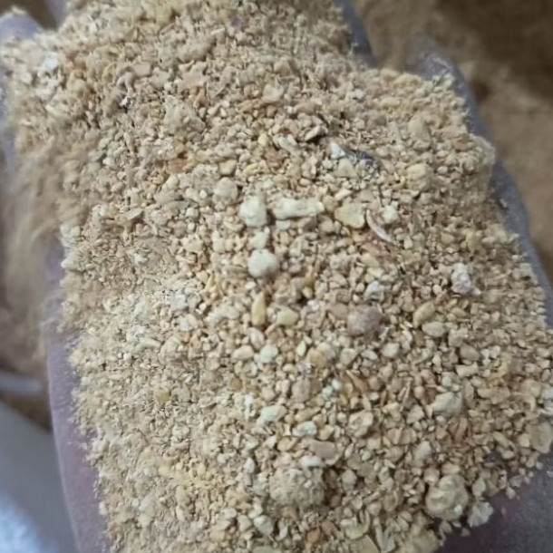Per 1Kg SBM Bungkil Kedelai Soya Bean Meal Pakan Ternak Kambing Domba Sapi Ayam Bebek Ternak Anda (i