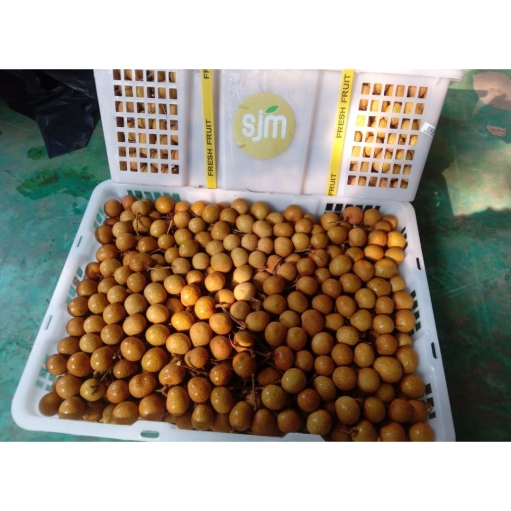 klengkeng bangkok 1 krat isi 12 kg / lengkeng thailand 1 krat isi 12 kg