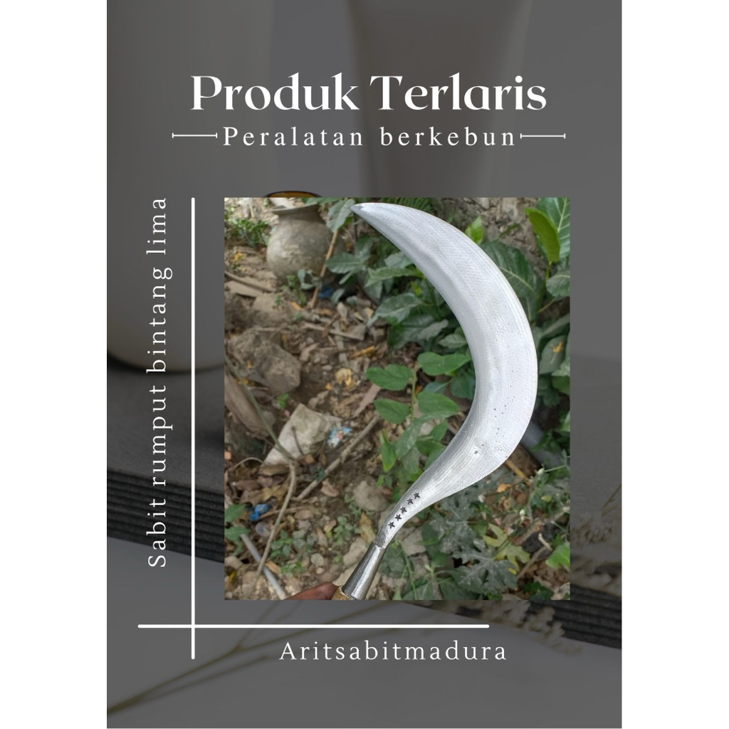 sabit rumput bintang lima asli madura