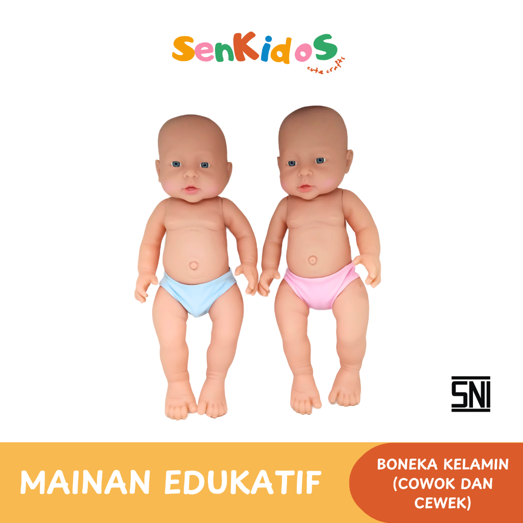 Boneka Kelamin Cowok & Cewek Mainan Edukasi - SKEToys