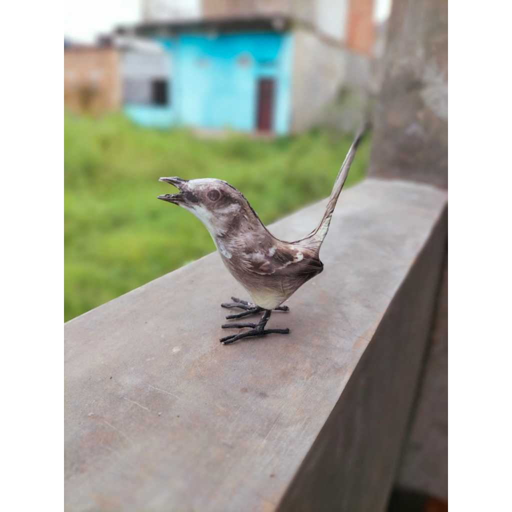 jontrot boneka burung ciblek kristal mirip asli ampuh