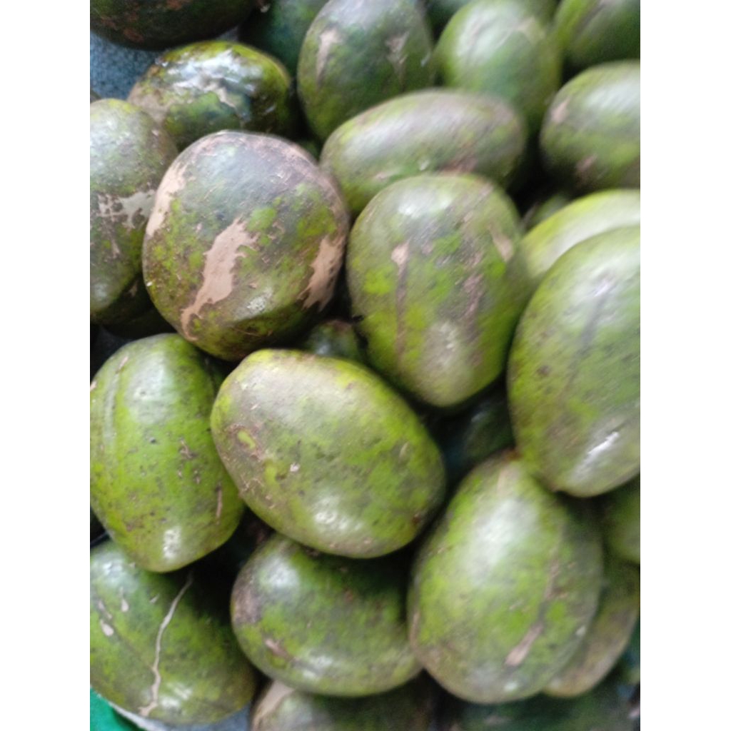 Buah Kedondong dondong mentah