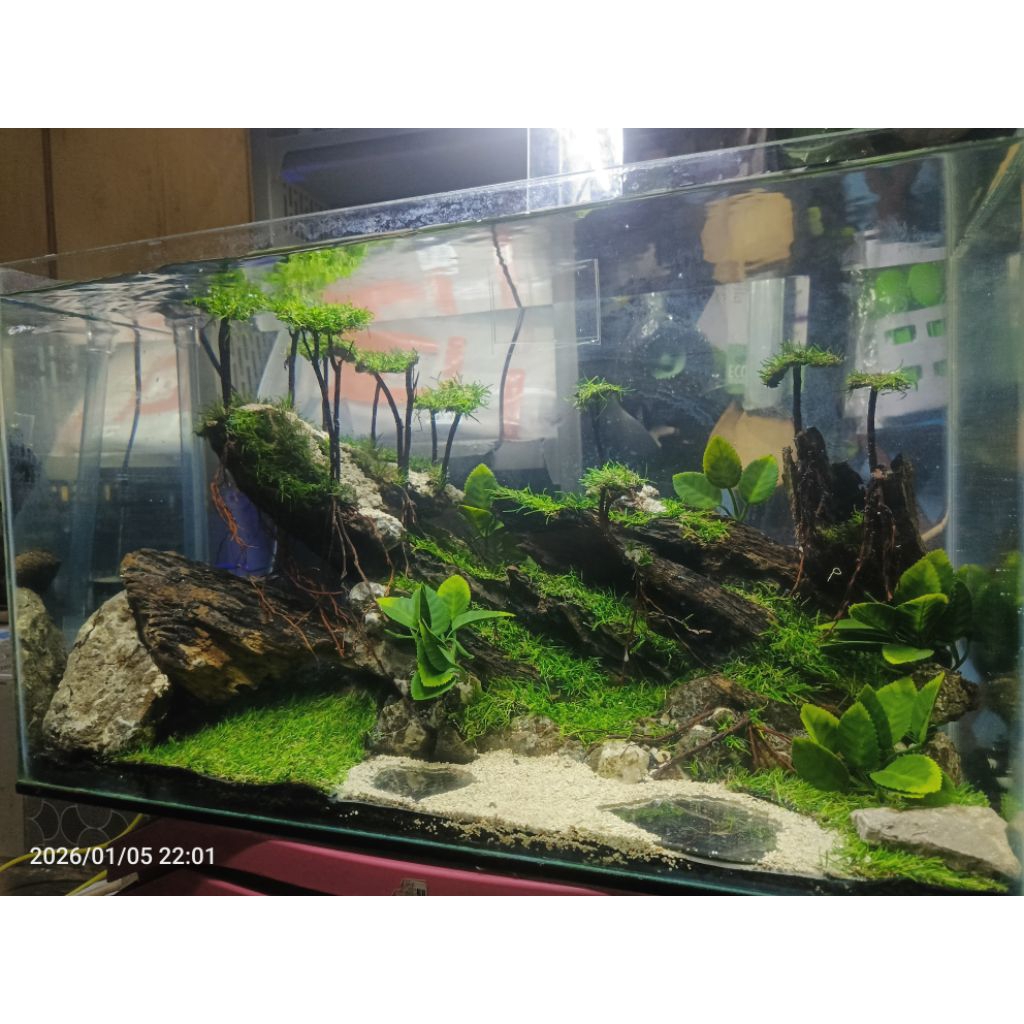 aquascape Hardscape fullset