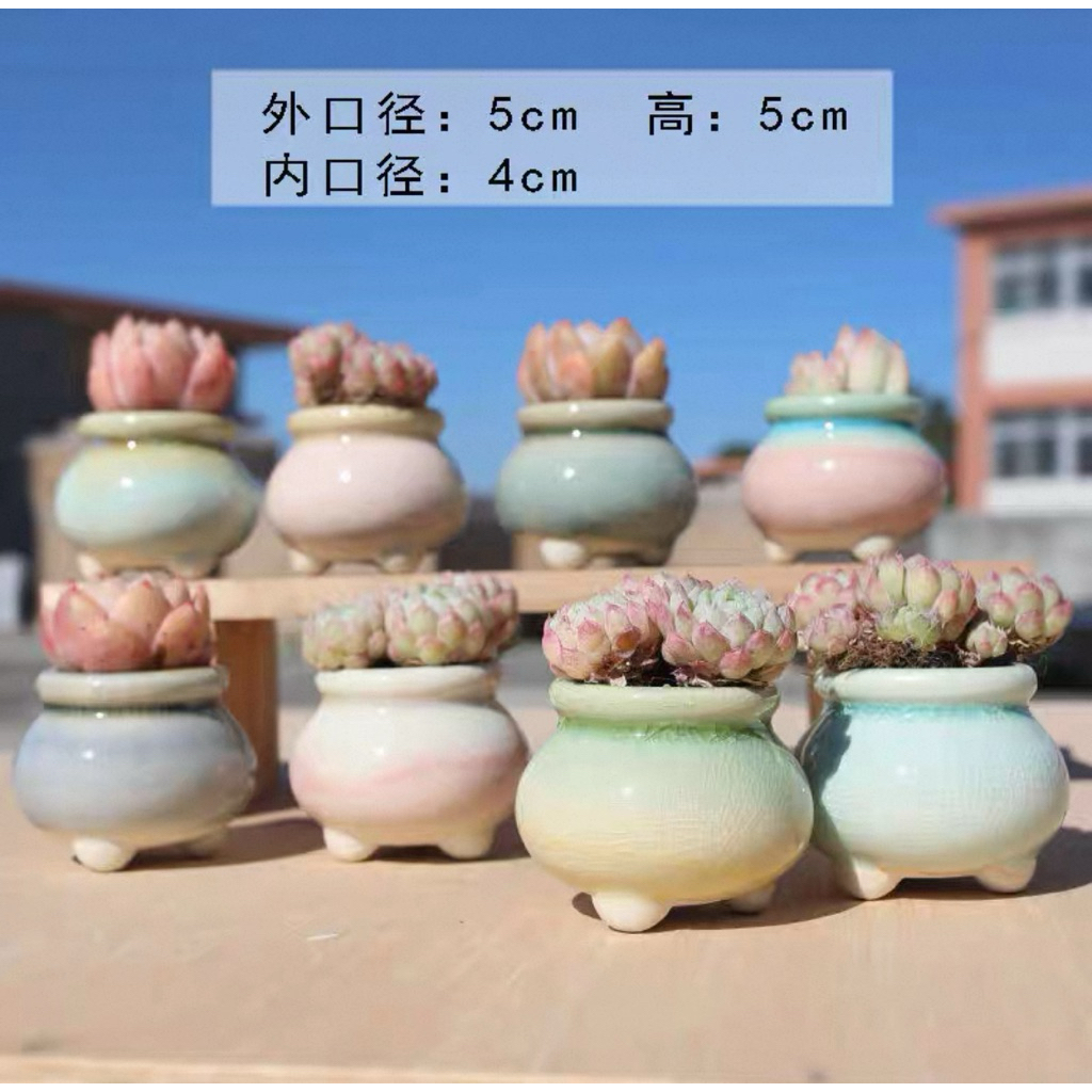 6 Pcs Pot Keramik Motif Retak Es Model gentong mini