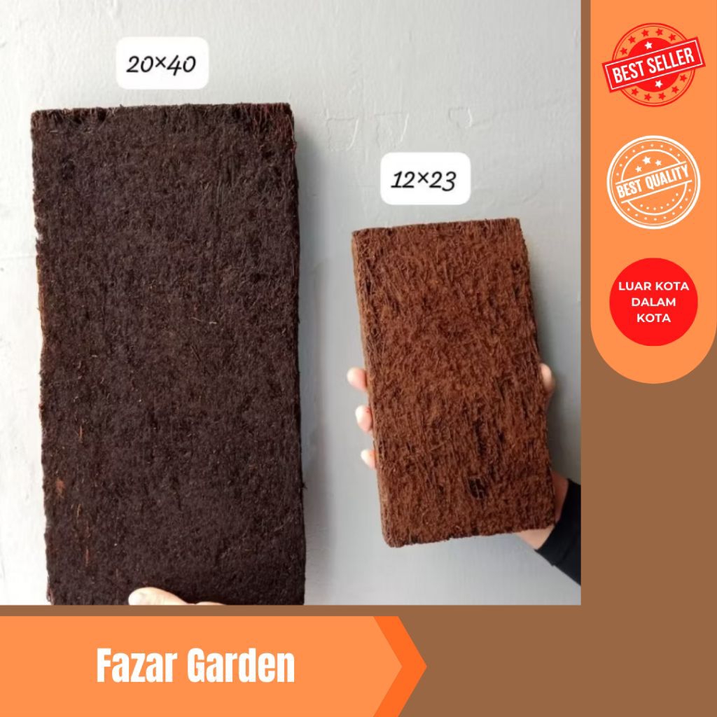 pakis papan besar, media tanam anggrek, pakis papan jumbo, kw1