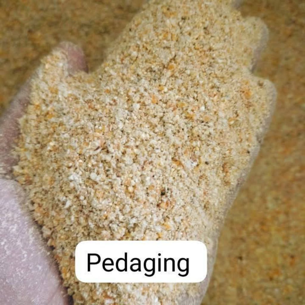 pakan pre starter untuk doc ayam