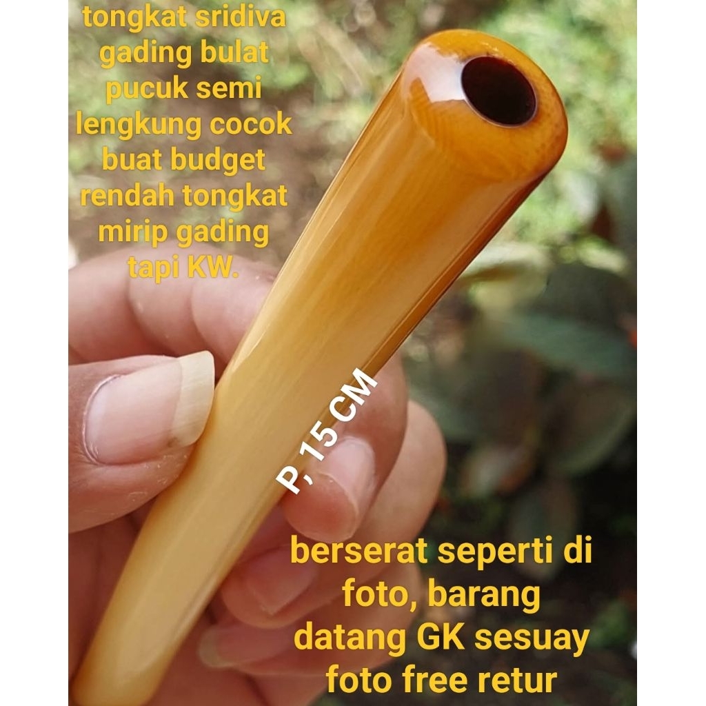 sarigading p 15 cm premium bulat pucuk semi lengkung berserat mirip gading